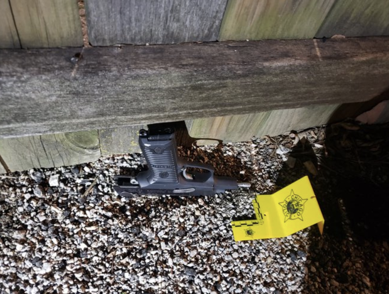 gun