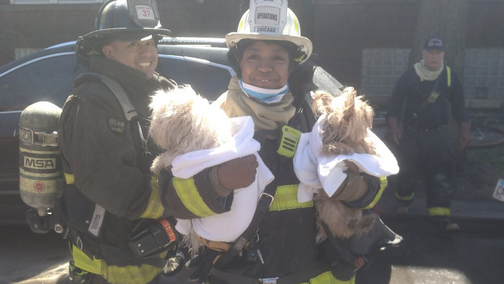 Fire official takes care of boy's dogs after blaze so he can get checked out at hospital