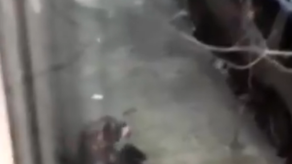 VIDEO: 57-year-old Asian man brutally attacked Saturday morning in Oakland