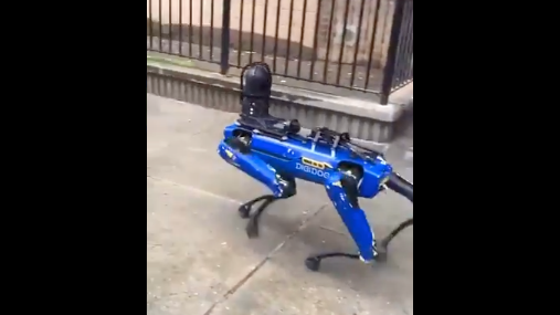 VIDEO: Twitter users deem NYPD's robotic dog 'creepy' after latest sighting