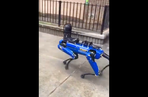Digidog