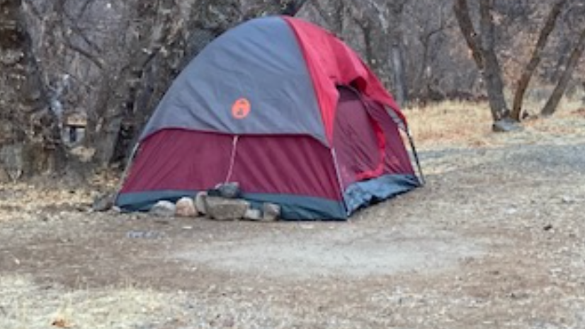 Utah woman missing since November found alive living off 'grass and moss' in tent