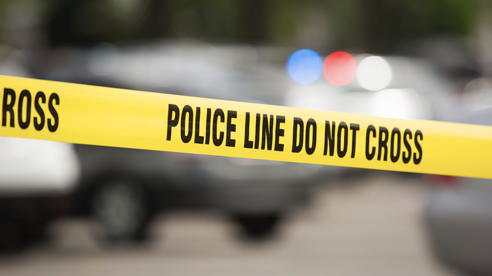 Girl, 15, shot while walking dog in Washington Park: police