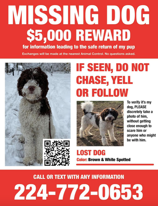Mia Morgan's flyer for her missing dog.