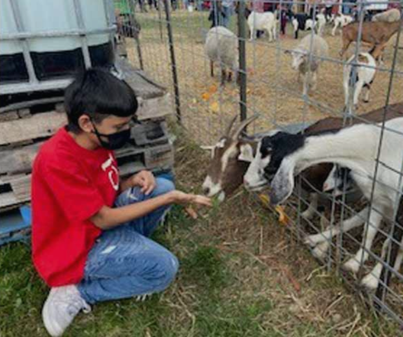 Adam Toledo feeding goats
