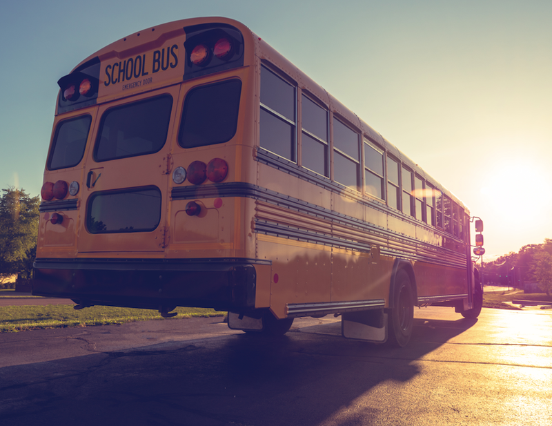 bus