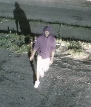 Carjacking suspect