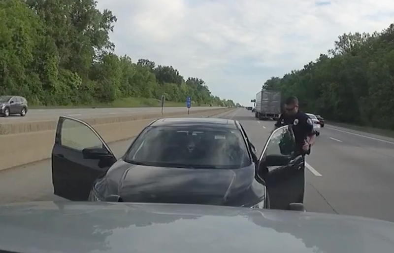 wrong-way driver
