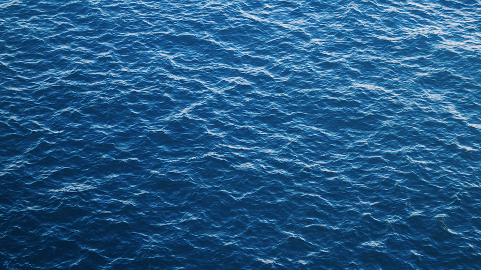 Man's body pulled from Lake Michigan