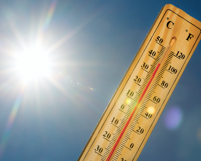 Temp
