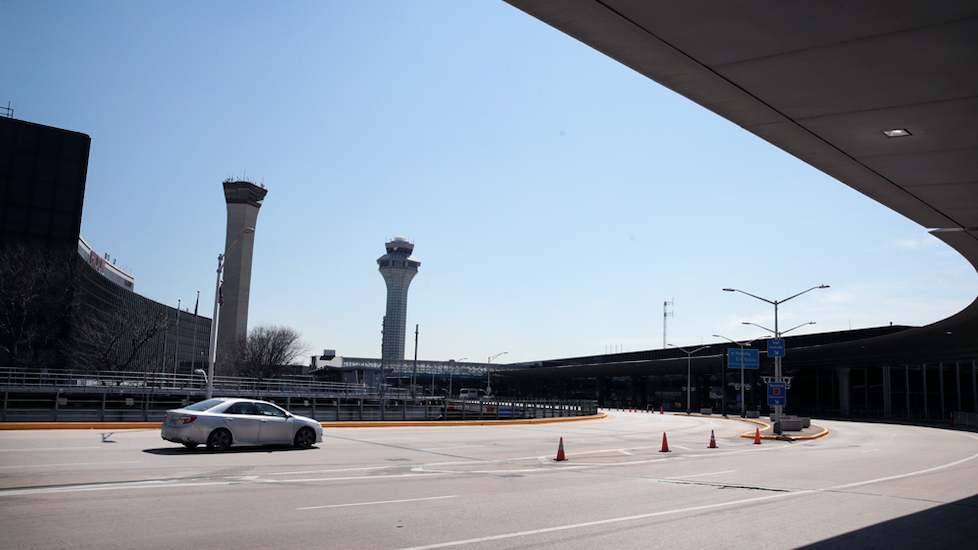 Imported dog with rabies came through O'Hare