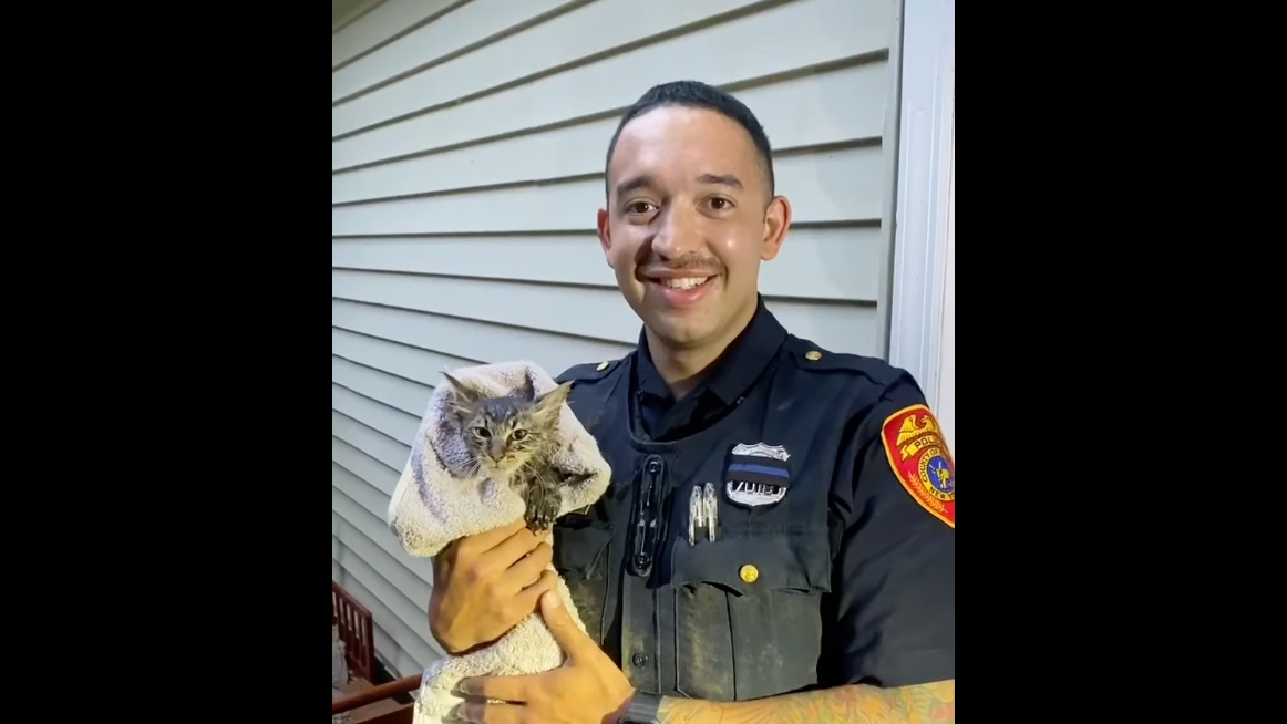 VIDEO: Meow! Officers rescue distraught kitten from LI storm drain