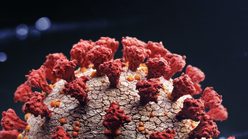 Coronavirus surges at Illinois bible camp, where most weren't vaccinated: IDPH