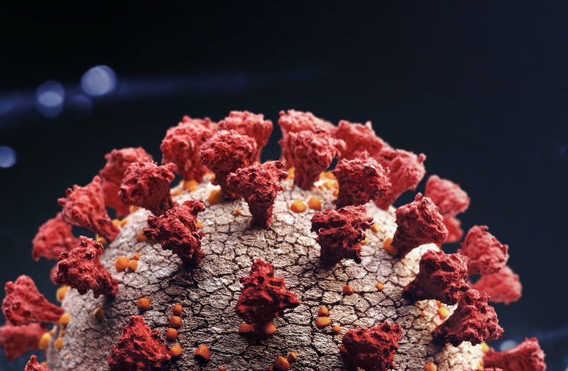 coronavirus