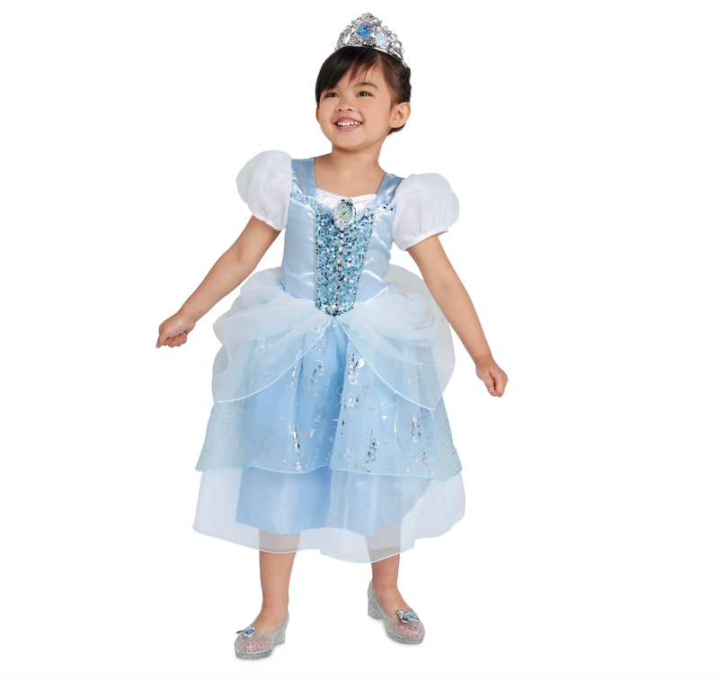 Cinderella Costume