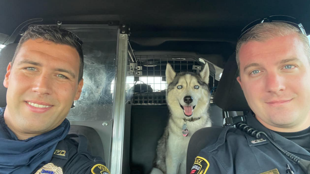 Officers rescue dog stranded in hot car after owner was killed in Missouri shooting