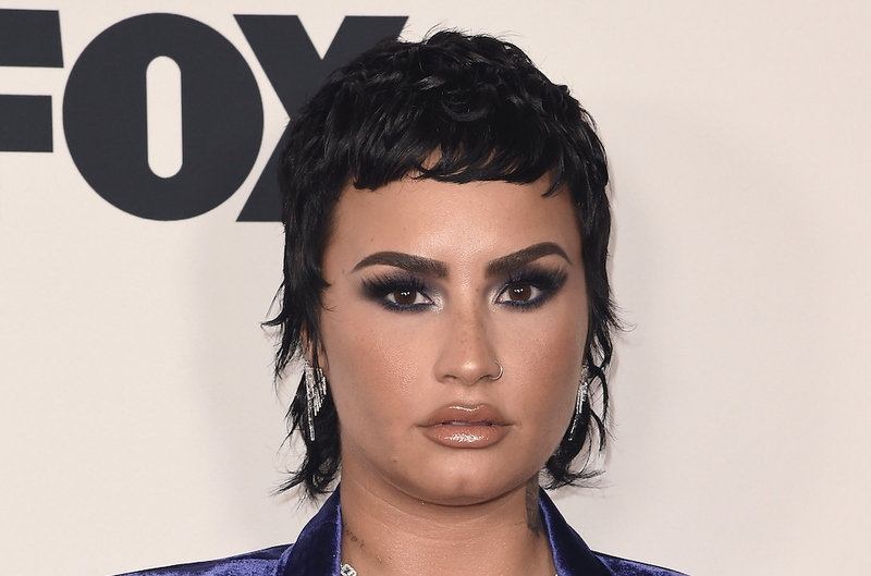 Demi Lovato on the red carpet