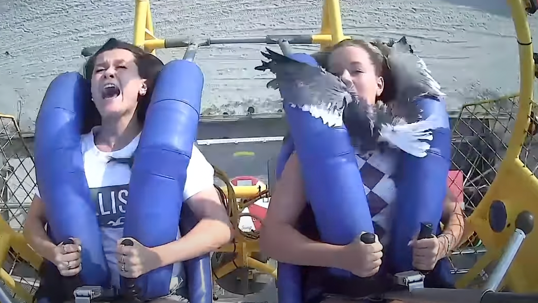 VIDEO: Squawk! Seagull slams into girl's face on NJ amusement ride