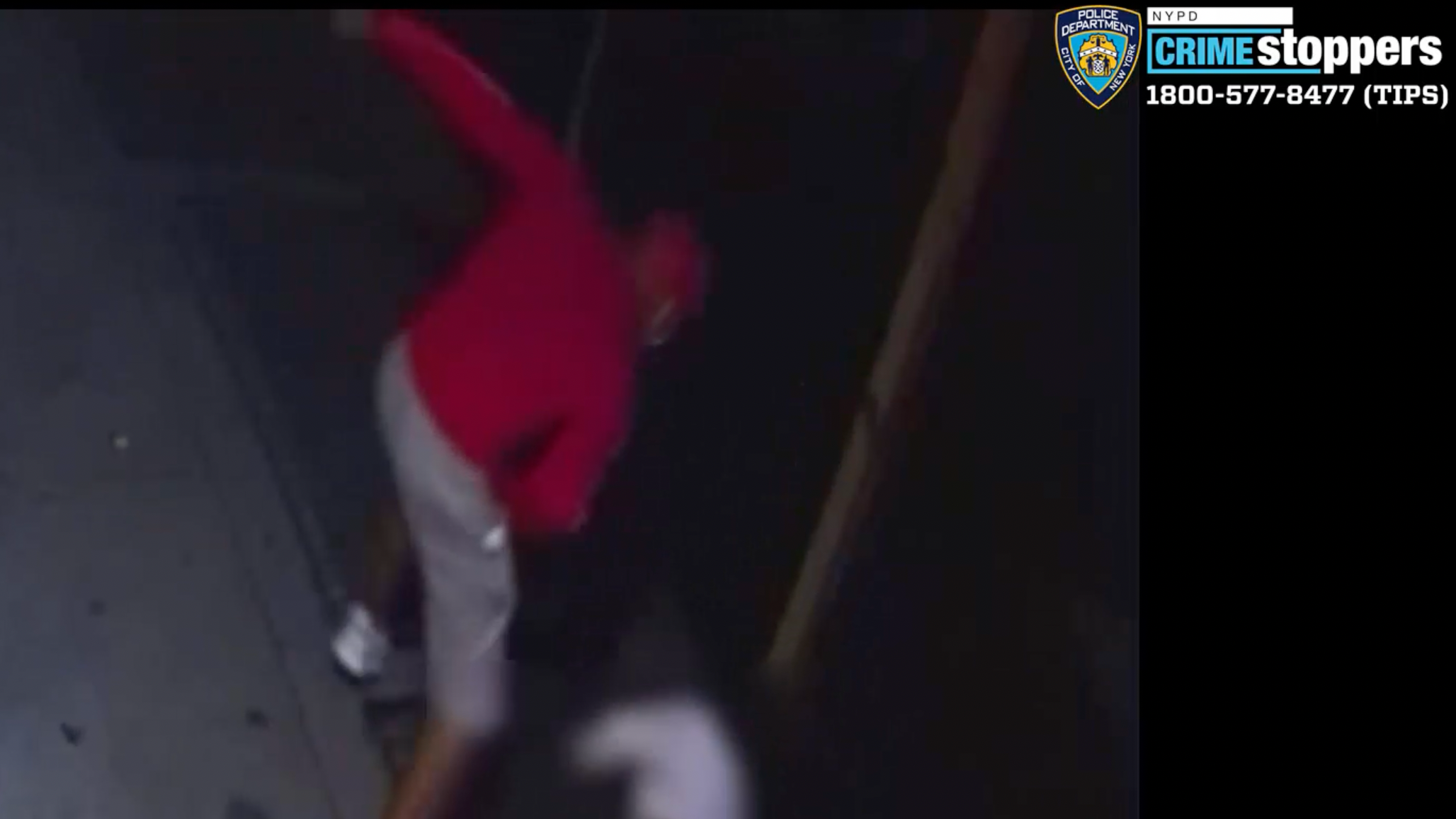 VIDEO: Wallet thief ambushes woman on Lower East Side street