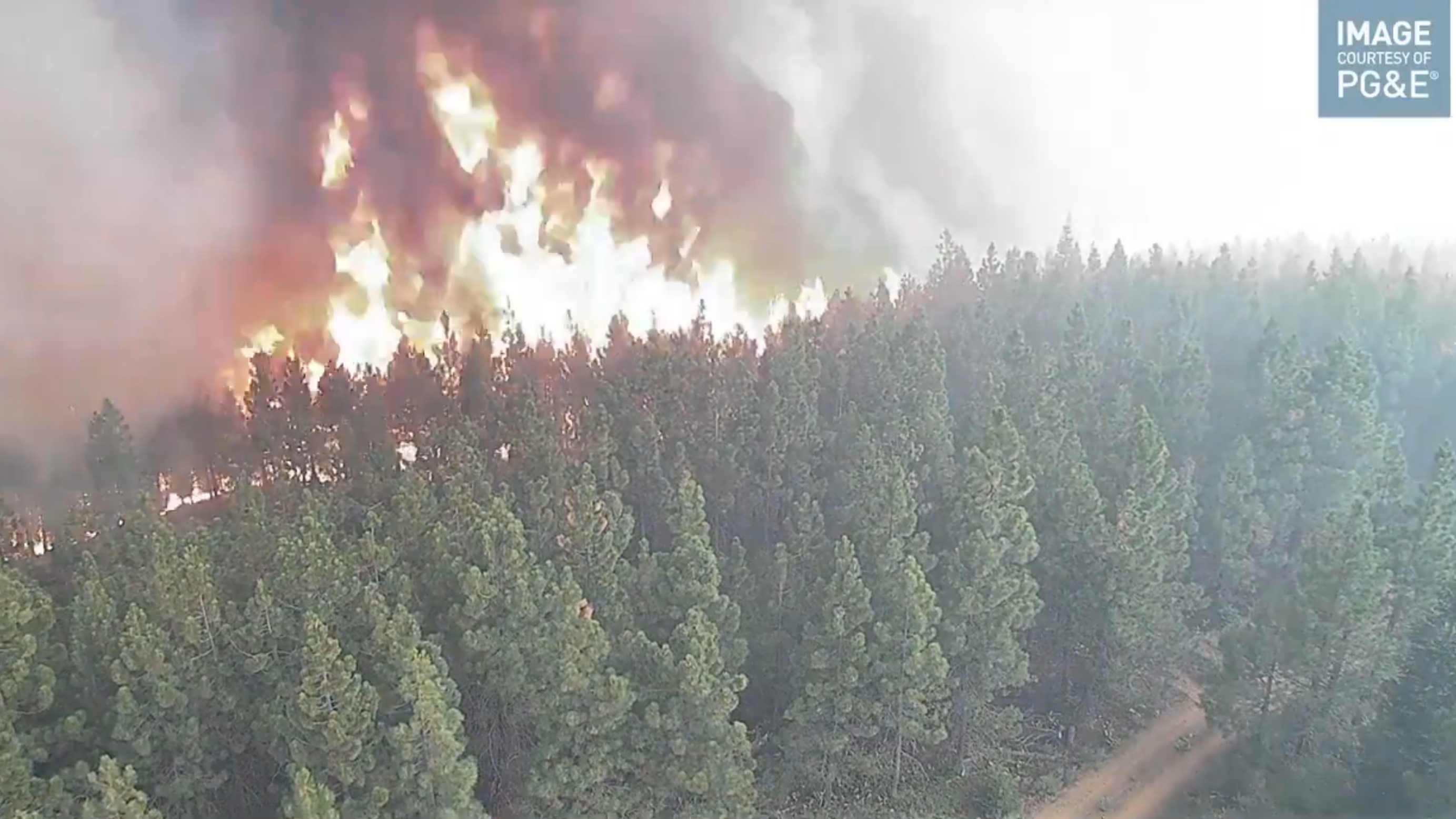 VIDEO: Chilling footage of Dixie Fire scorching luscious forest in Sierra