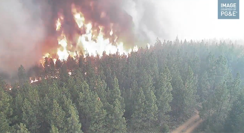 The Alert Wildfire footage shows flames from the Dixie Fire completely ravaging large colorful green trees before devouring the camera in smoke.
