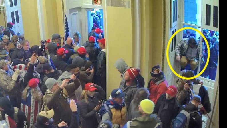 PHOTOS: Ex-NY State Senate candidate charged with storming Capitol
