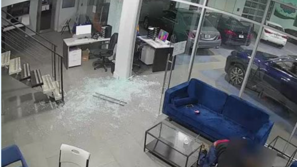 7 arrested in connection to Bronx dealership shootout that left heroic father injured, jobless