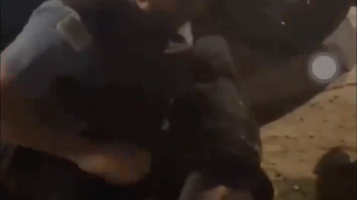 Alderman says CPD is a 'joke thanks of Lightfoot & Foxx'; shares video of police struggling to make arrest
