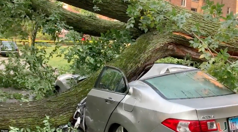The worst damage WBBM Newsradio's Bernie Tafoya noticed was in Evanston. An at least 40 foot tall mature American Elm tree was pulled out of the ground, roots and all, taking the sidewalk with it and crushing a car parked near it.