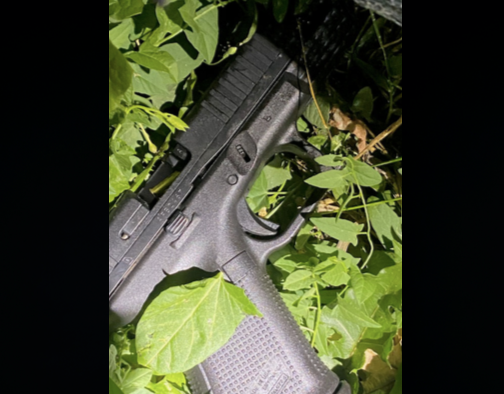 gun