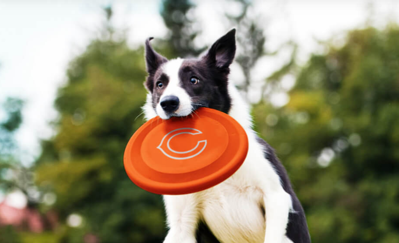 Bears Paws, in partnership with Paradise 4 Paws|Pooch Hotel, offers Bears fans an opportunity to connect their furry family members with their favorite team through unique gear, experiences, and information dedicated to pet parents.