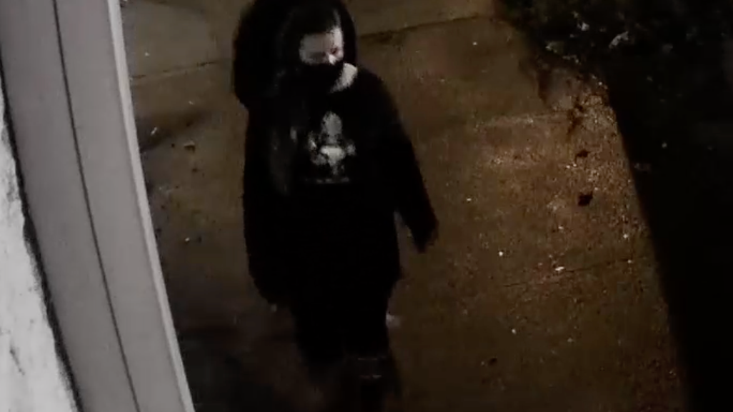 VIDEO: Couple who burglarized Queens furniture store, stole $40K wanted by police