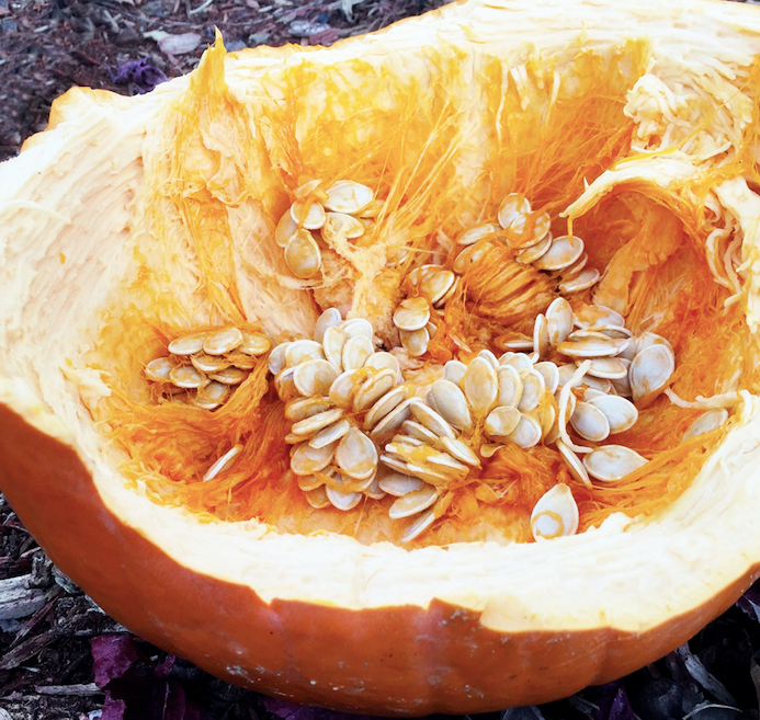 Smashed pumpkin