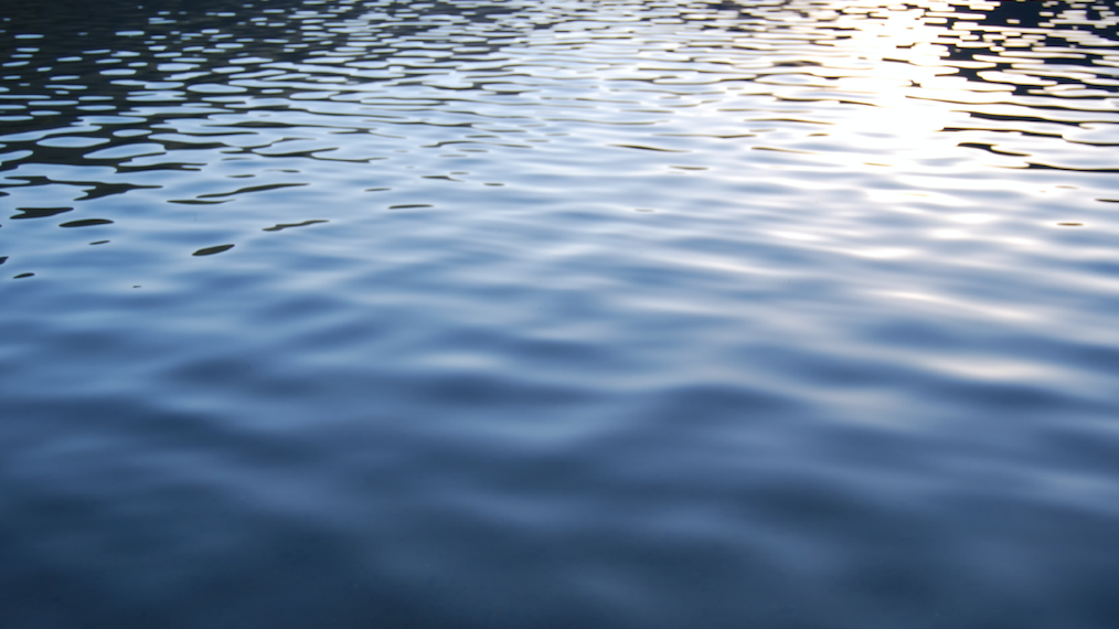Suspected shoplifter drowns while trying to hide: authorities