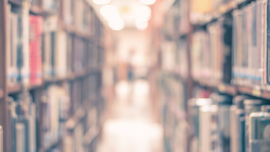 Evanston library apologizes for flyer with 'Thin Blue Line' symbol