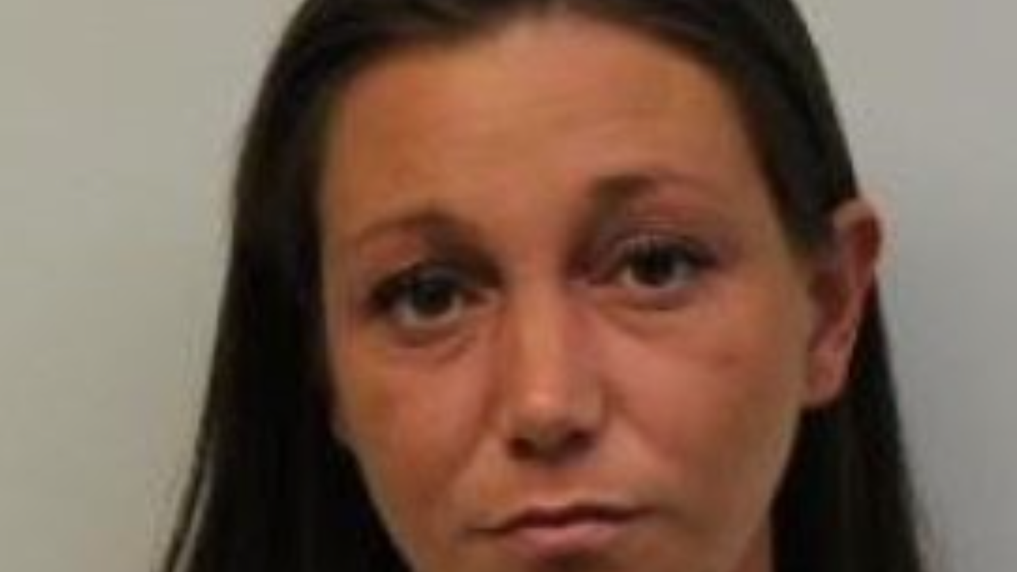 NJ woman barred from owning animals, sentenced to probation after leaving dogs to die in home