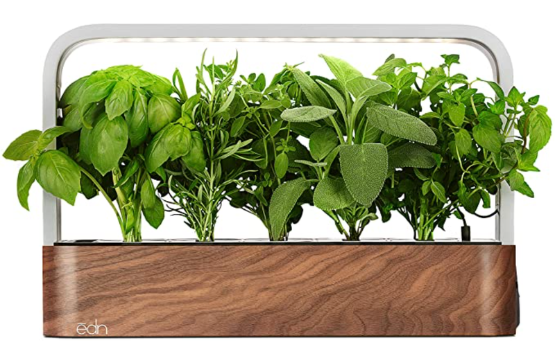 edn SmallGarden with Basil SeedPods, Indoor Grow Smart Garden Starter Kit for Fresh Home Grown Herbs, Plants and Flowers