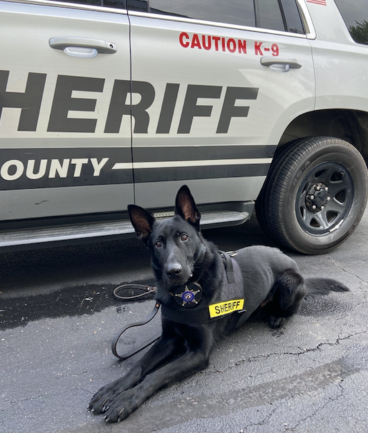 Police K-9