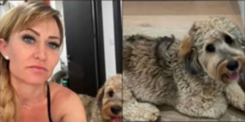 Missing woman Heidi Planck, 39, and her dog, Seven.