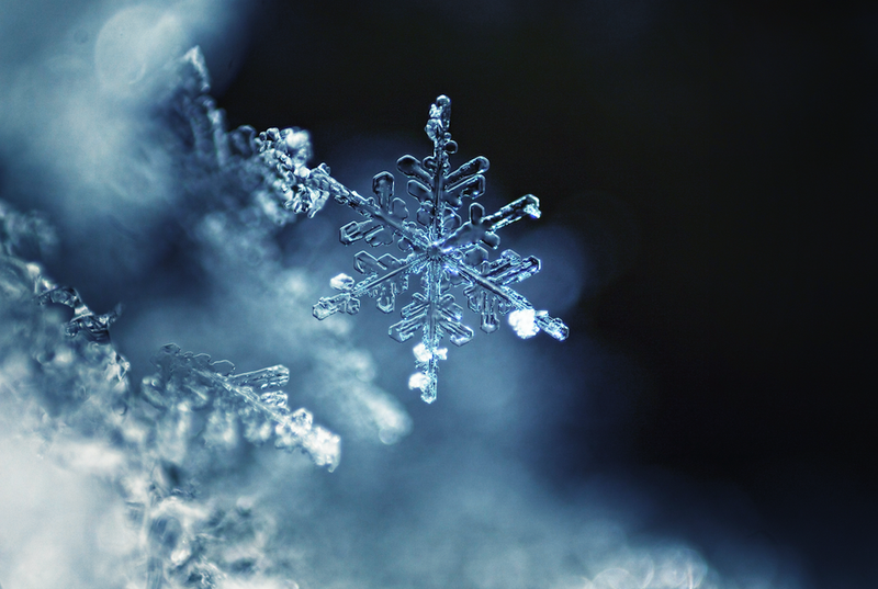 single snowflake
