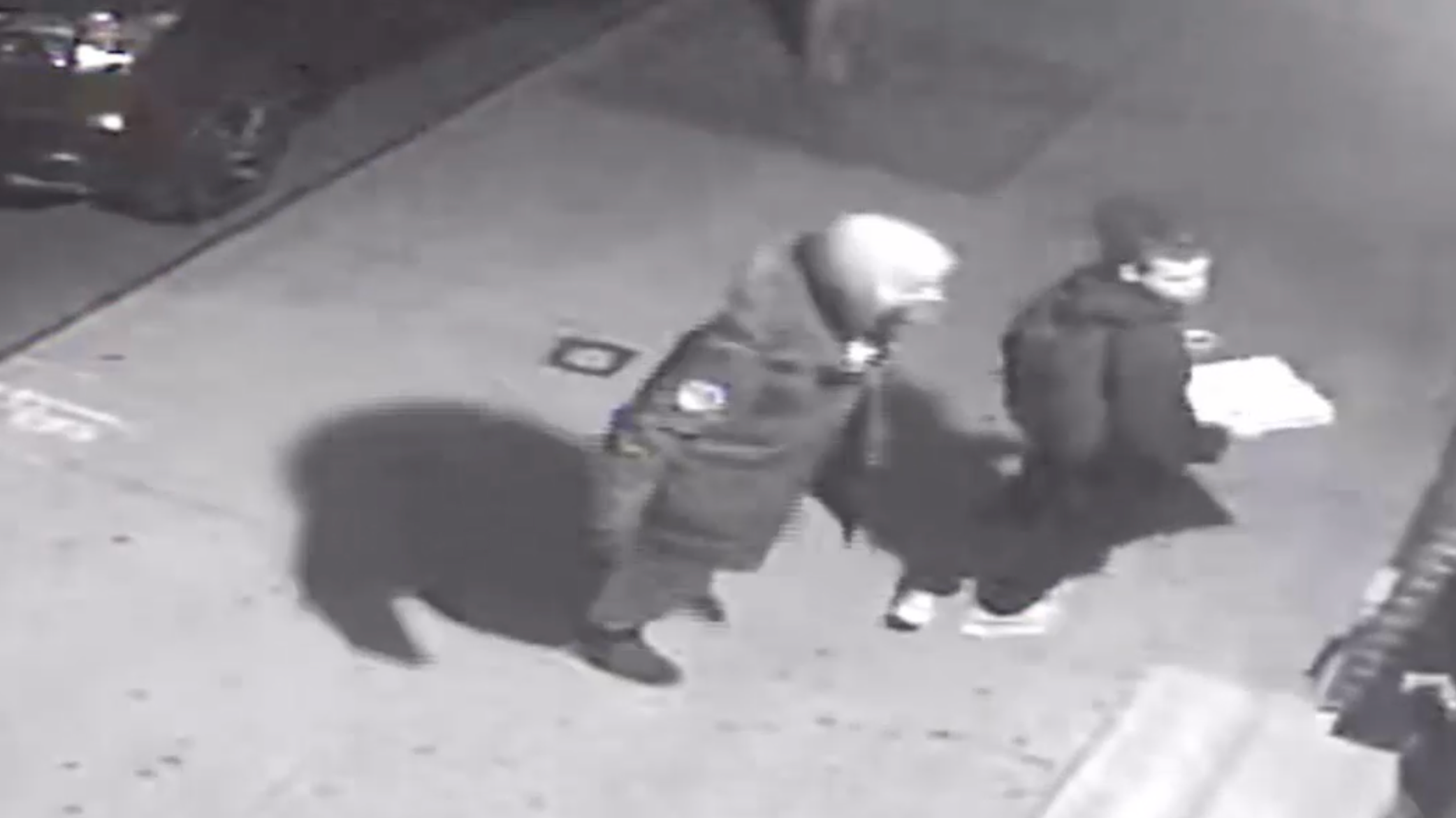 VIDEO: 2 suspects force their way into Bronx building, pummel man