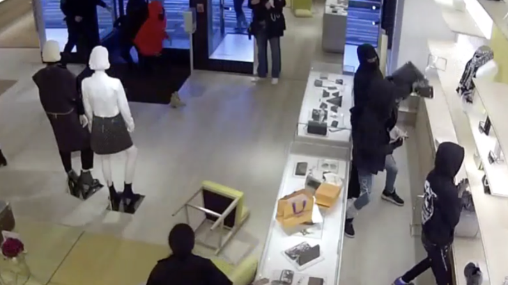 VIDEO: Louis Vuitton purses fly out of store in grab-and-run heist in Oak Brook