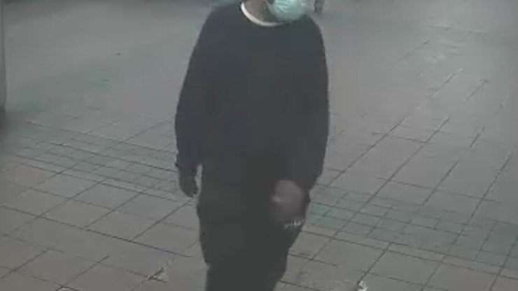 VIDEO: Woman put in headlock, forcibly touched by purse thief in Midtown subway station: police