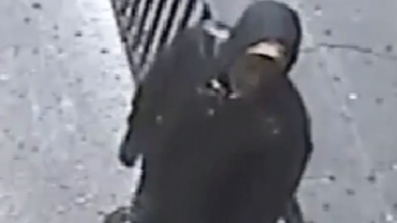 VIDEO: Police seek man who groped woman, 21, on Bronx street