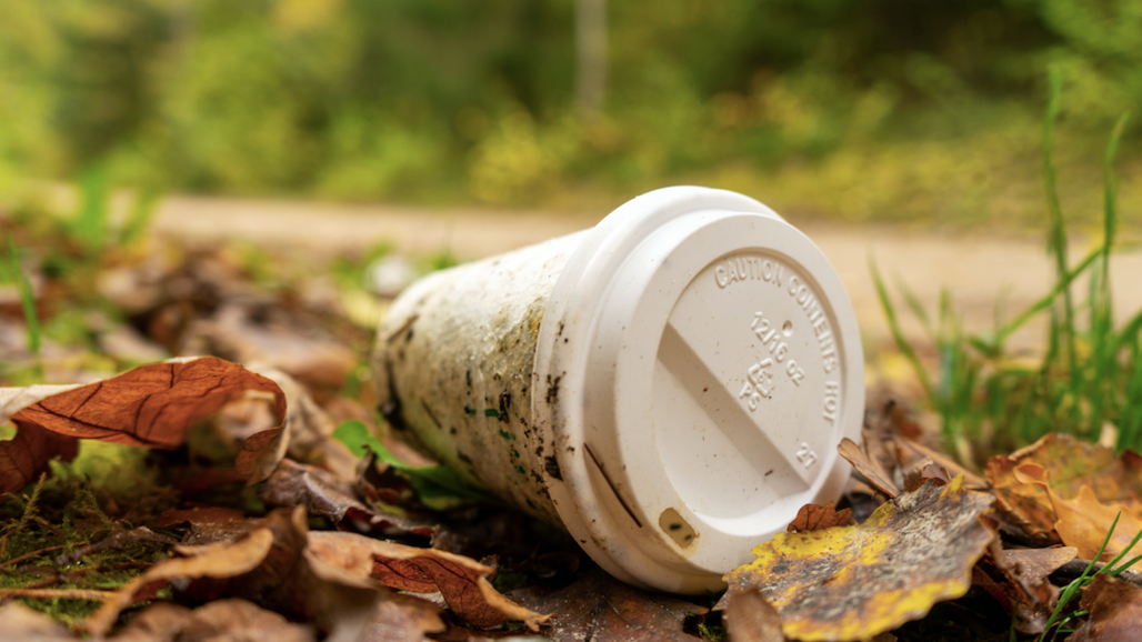 Cleanup club tries to make dent in Chicago litter problem