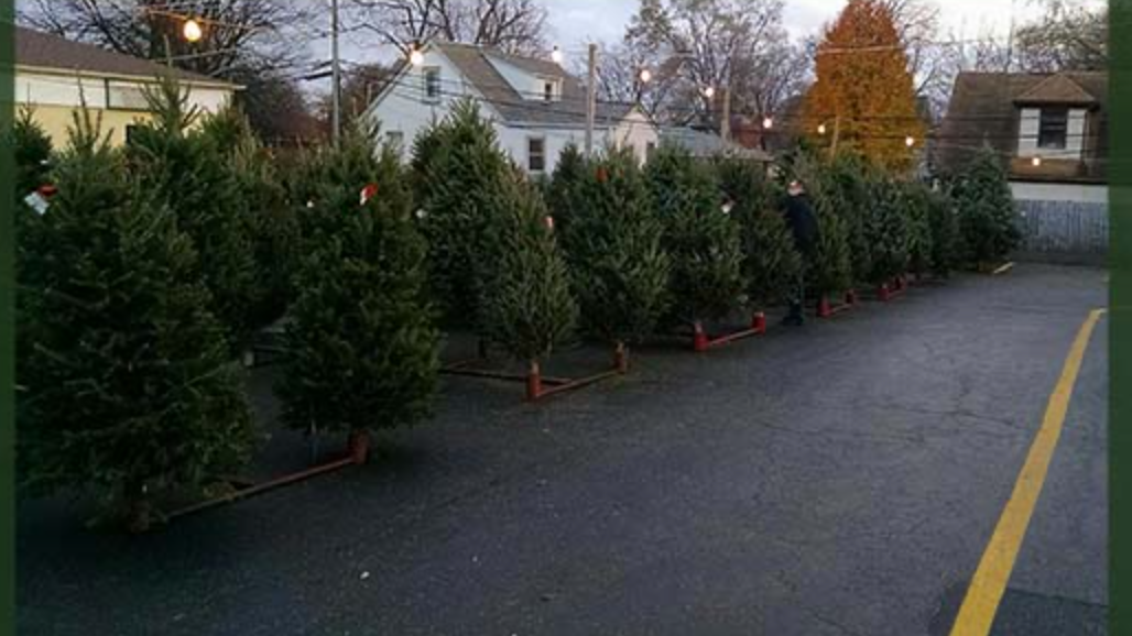 Looking to buy a Christmas tree? Local vendor says you better act fast