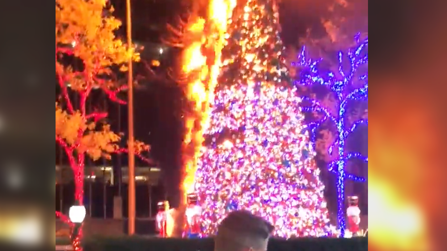 VIDEO: Man in custody after Christmas tree outside Fox News set on fire