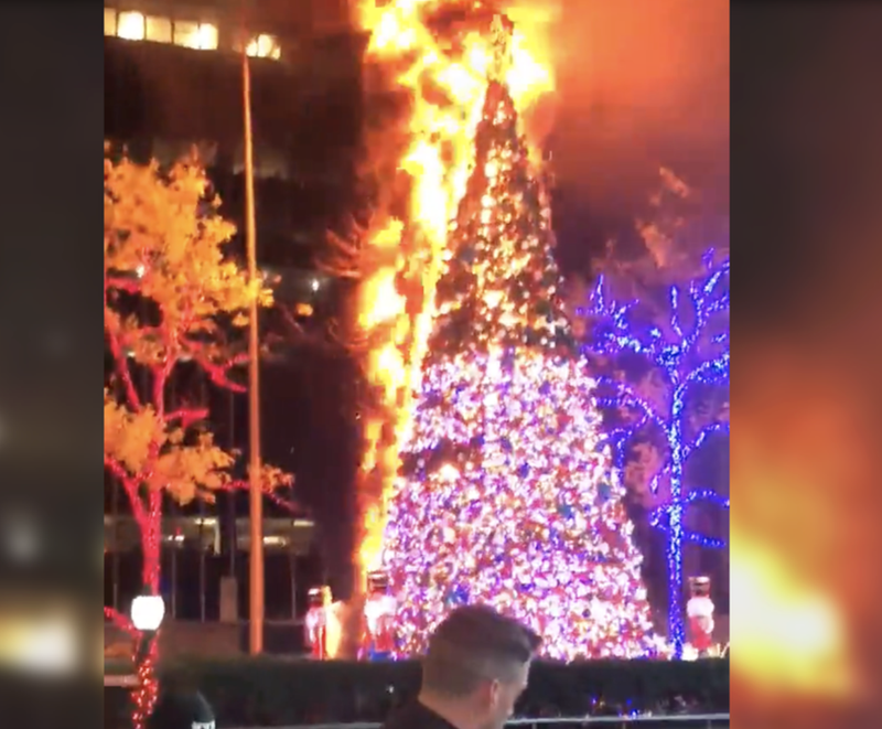 Xmas tree set on fire