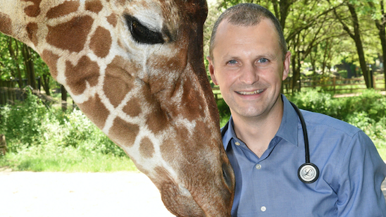 New Brookfield Zoo director wants animals to be as 'happy' as possible
