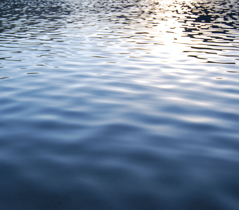 pond surface shimmering